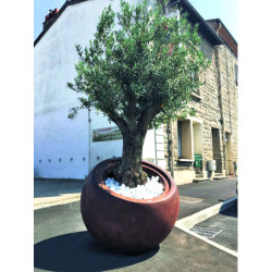 Modèle effet corten
