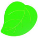 Feuille